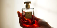 Ce Parfum Folosesc Mereu? - ShoeResidence