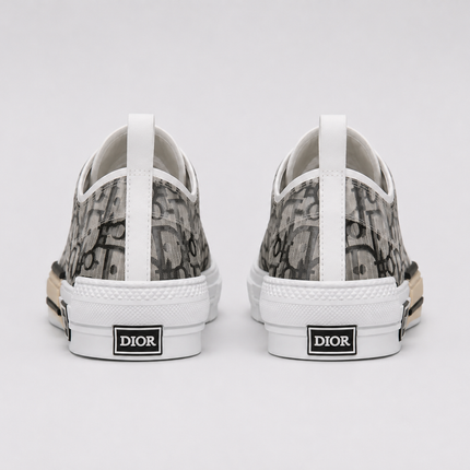 Dior B-23 LOW (NEW)